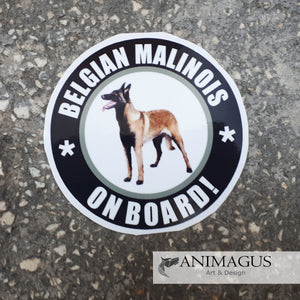 Malinois Sticker Auto - diverse modele