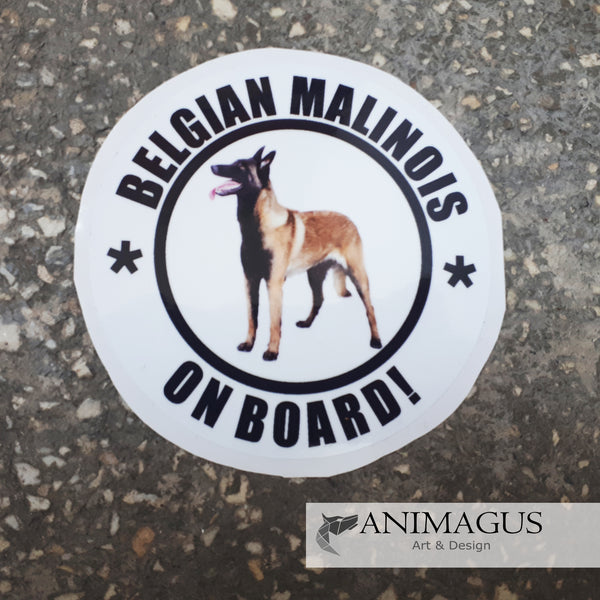 Malinois Sticker Auto - diverse modele